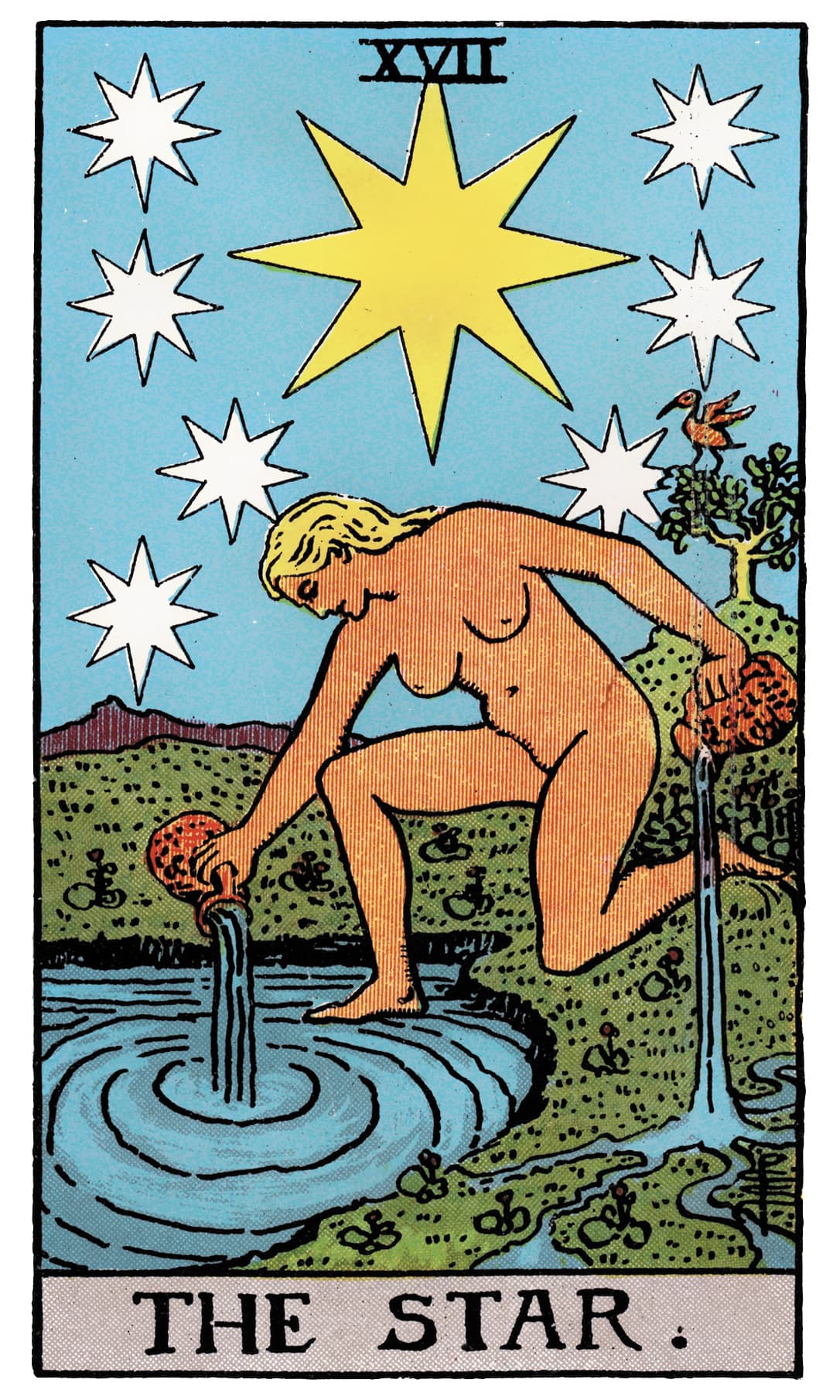 The Star